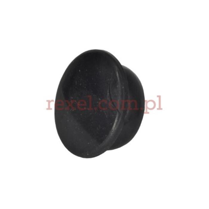 2401100 PEGASUS zatyczka